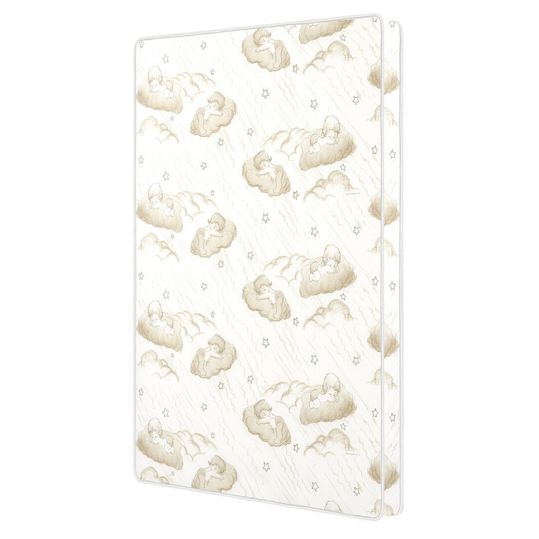 Dream On Me 2Stage Mini Crib Mattress & Reviews Wayfair